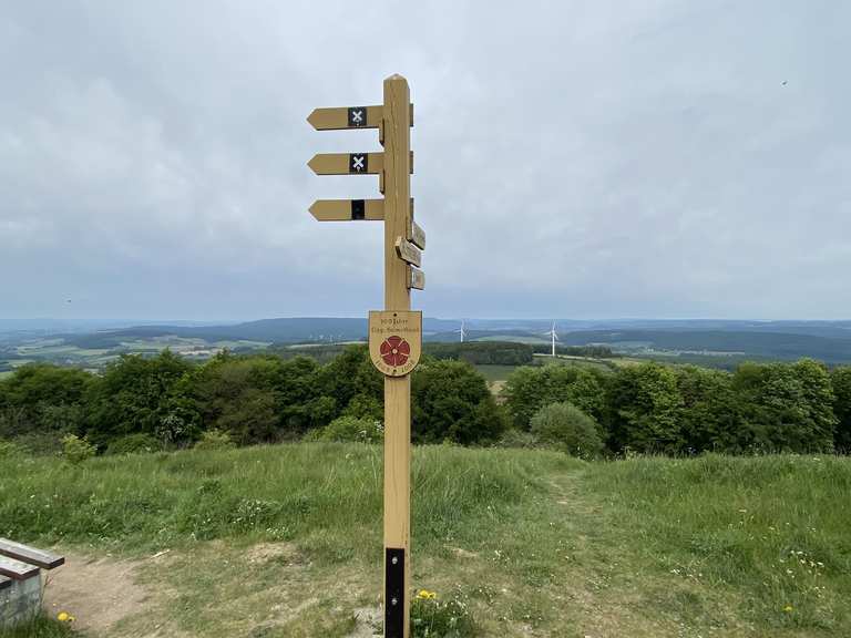 Köterberg MountainbikeTouren und Trails komoot