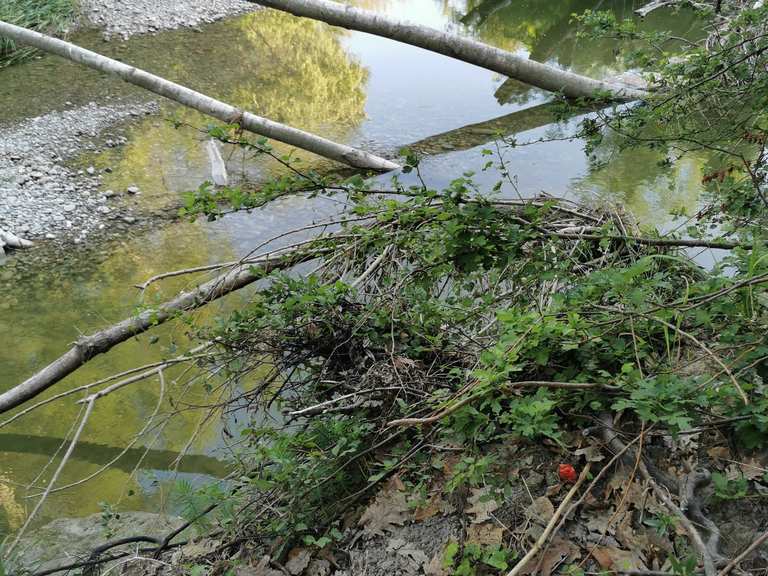 Ansa del fiume Torrente Idice Loop from Bologna Zanolini mountain