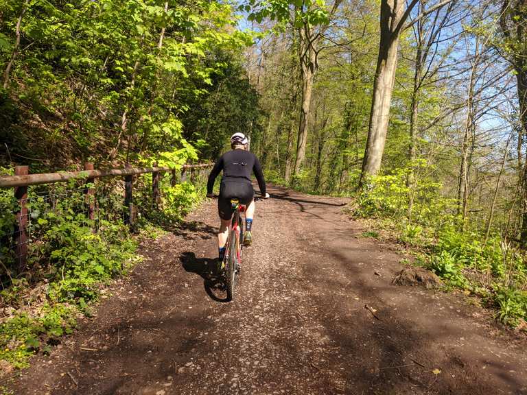 Leigh woods best sale bike trails