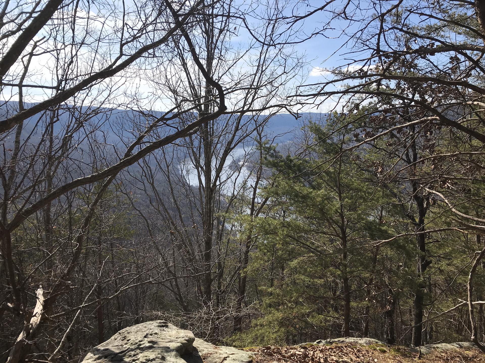 Forest view through bare trees to a distant river under a bright sky.