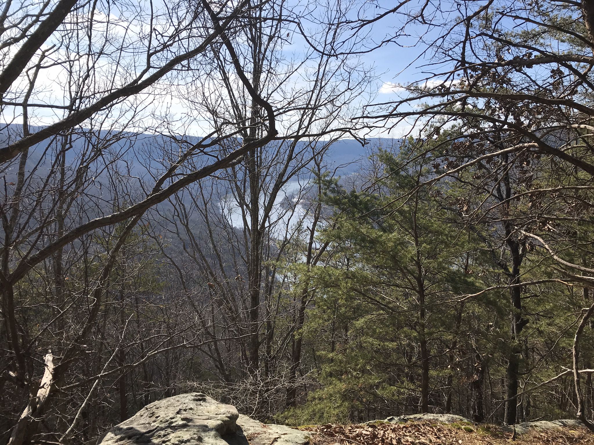 Forest view through bare trees to a distant river under a bright sky. - Tesla's Revenge loop