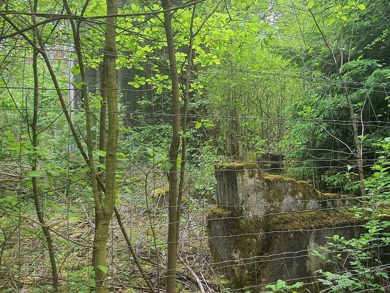 Weiße Häuser zwischen Granzow und Schillersdorf Radtouren und Radwege