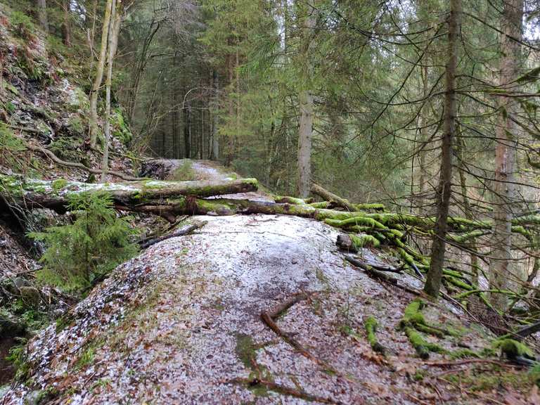 Alter Grabenweg Silbernaal Wanderungen und Rundwege komoot