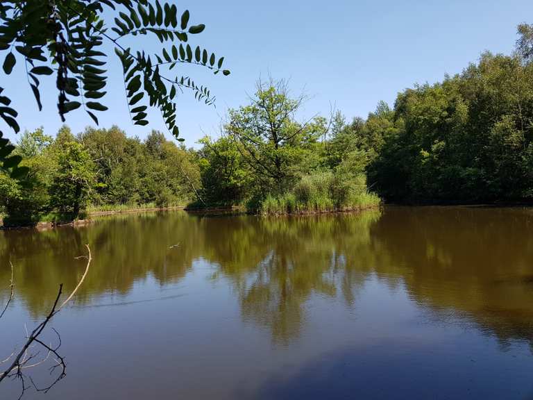 DreiInselTeich Radtouren und Radwege komoot