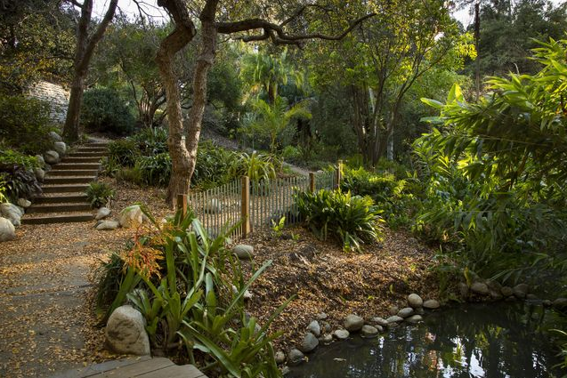 Lush garden with wooden steps, a path, and a small pond in dappled sunlight.