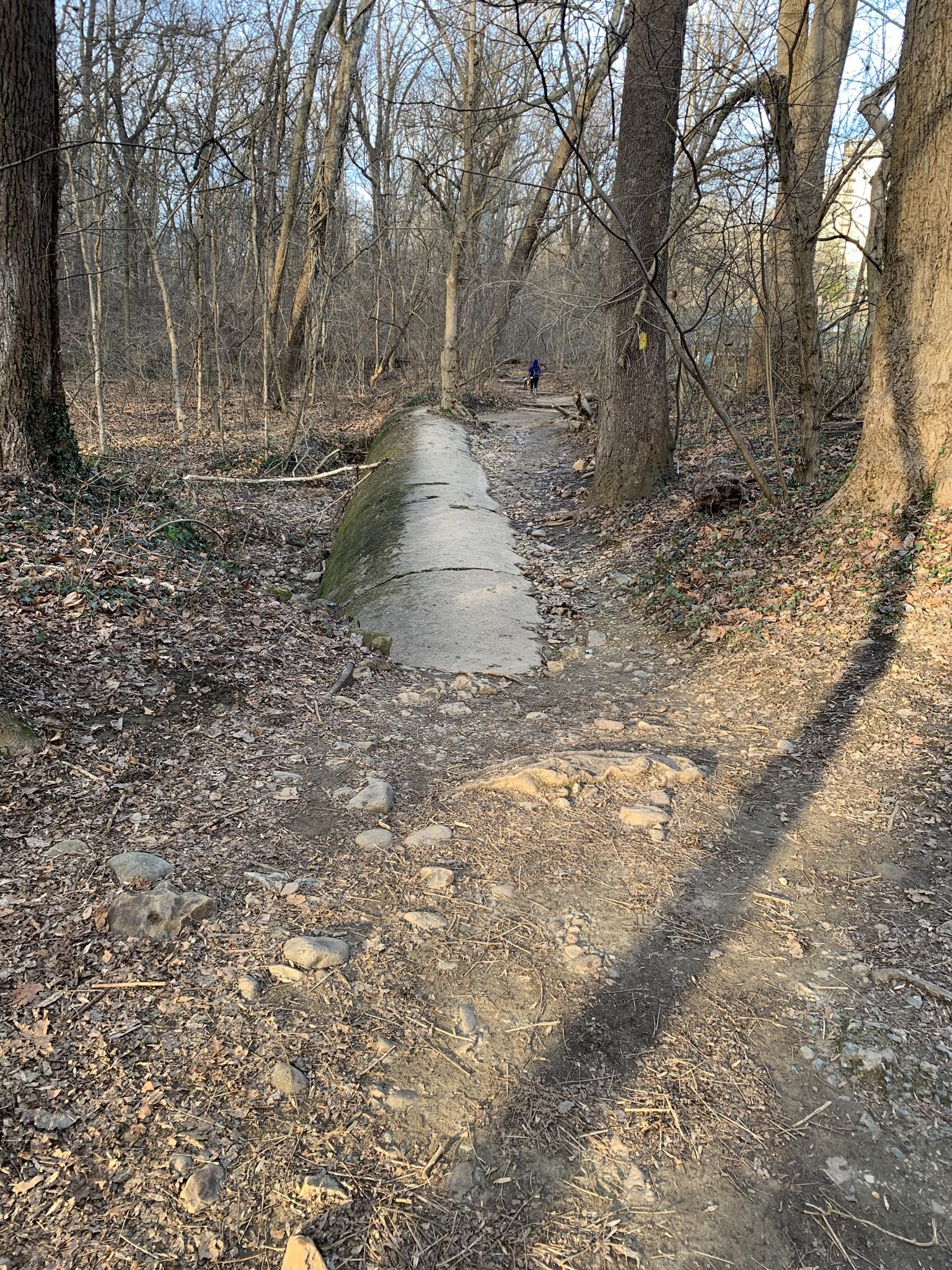 A person walks on a dirt path with a concrete structure, bare trees.