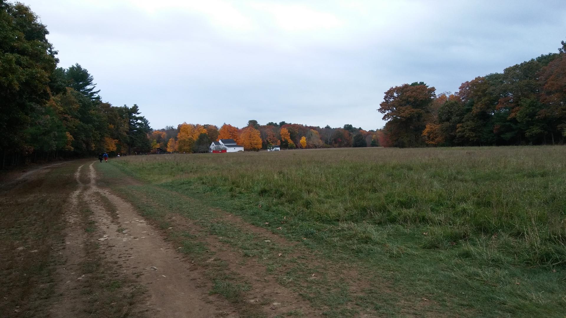 Dirt path next to a grassy field with colorful autumn trees under an overcast sky.