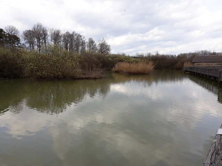 Naturteich Großhart Wanderungen und Rundwege komoot