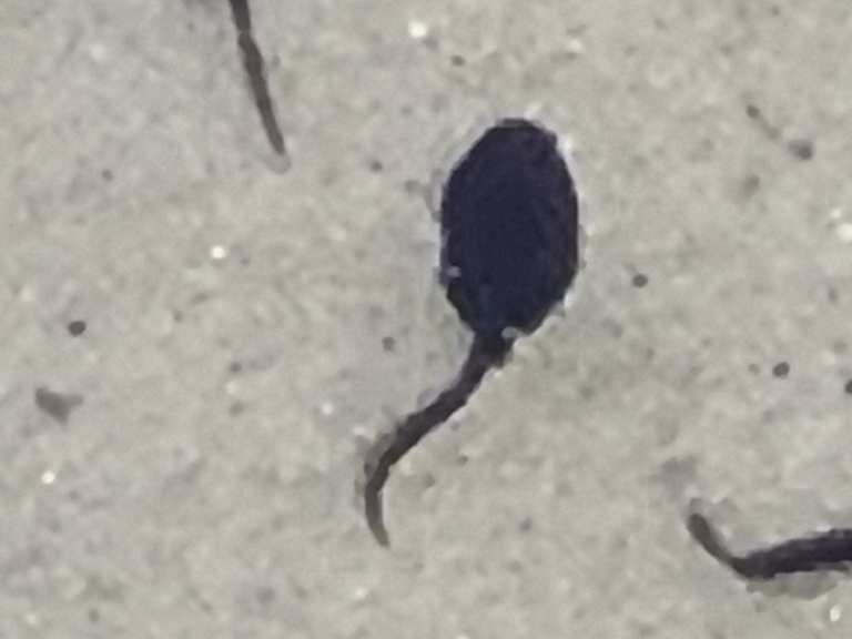 Seeblick Radtouren Und Radwege Komoot