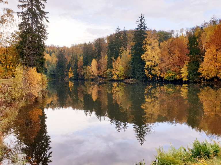 Neuer Teich, wandelroutes en hikes Komoot