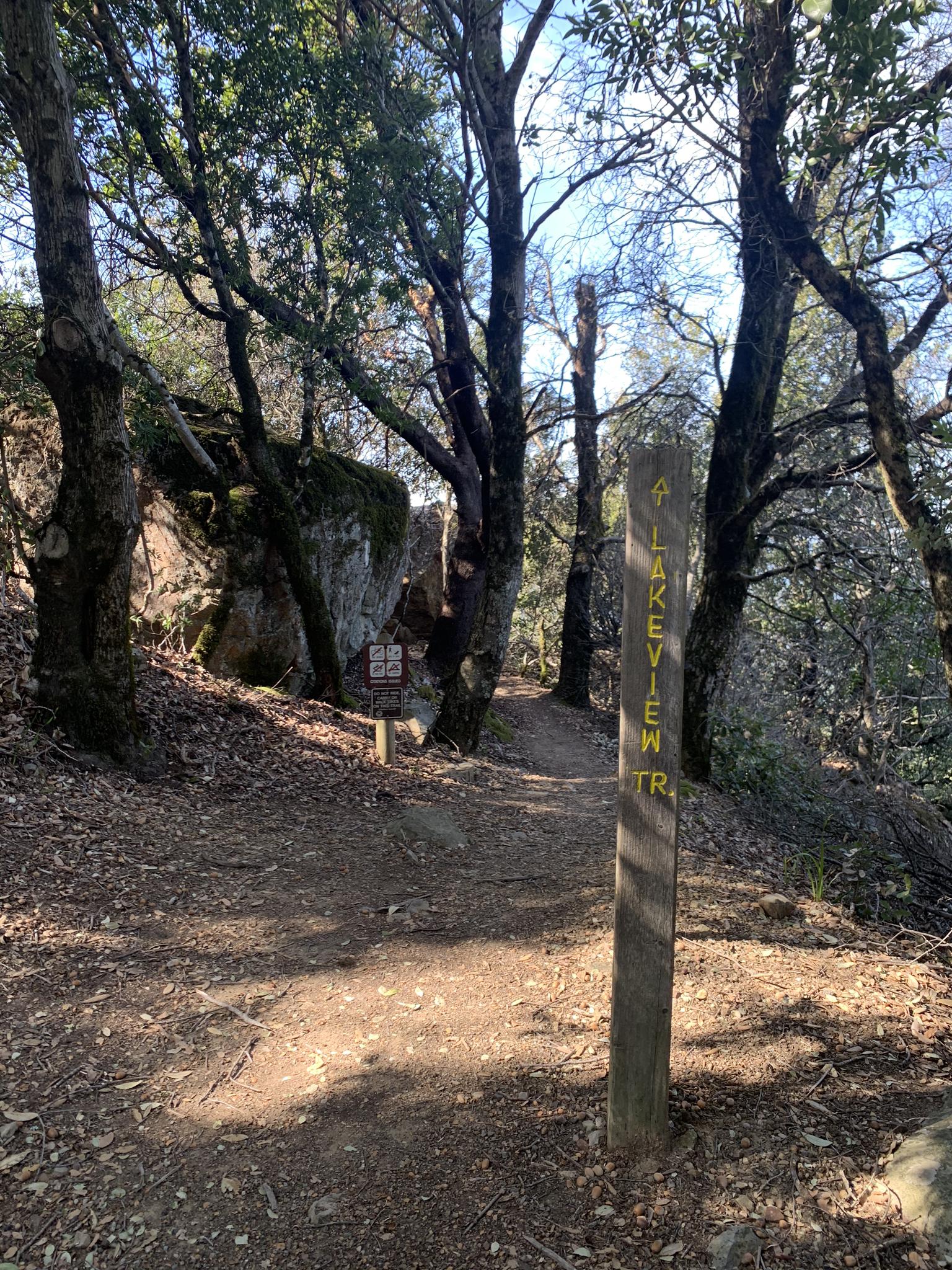 A forest trail with a wooden signpost and dappled sunlight.