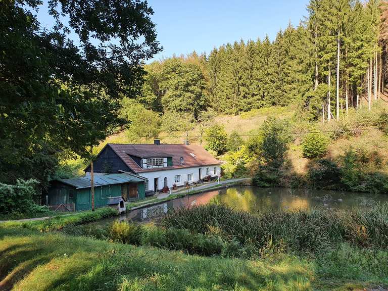 Finkenberger Mühle Wanderungen und Rundwege komoot