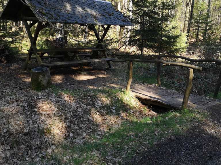 Münzbachquelle Erzengler Teich Runde von BrandErbisdorf Wanderung
