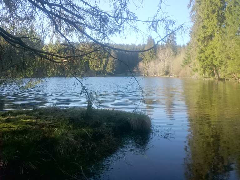 Ochsenbacher Teich Radtouren und Radwege komoot