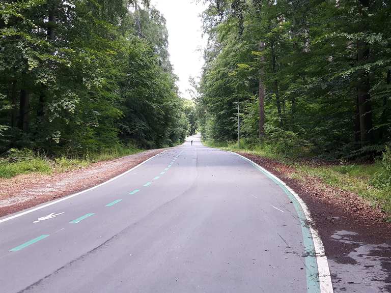 Die alte Panzerstraße wurde zum Radschnellweg Radtouren und