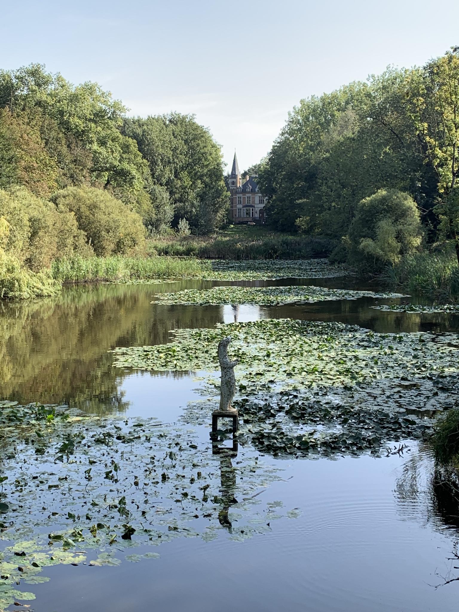 Zicht Op Kasteel De Blankaart Wandelroutes En Hikes | Komoot