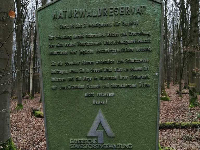 Infotafel am Burgstall MountainbikeTouren und Trails komoot