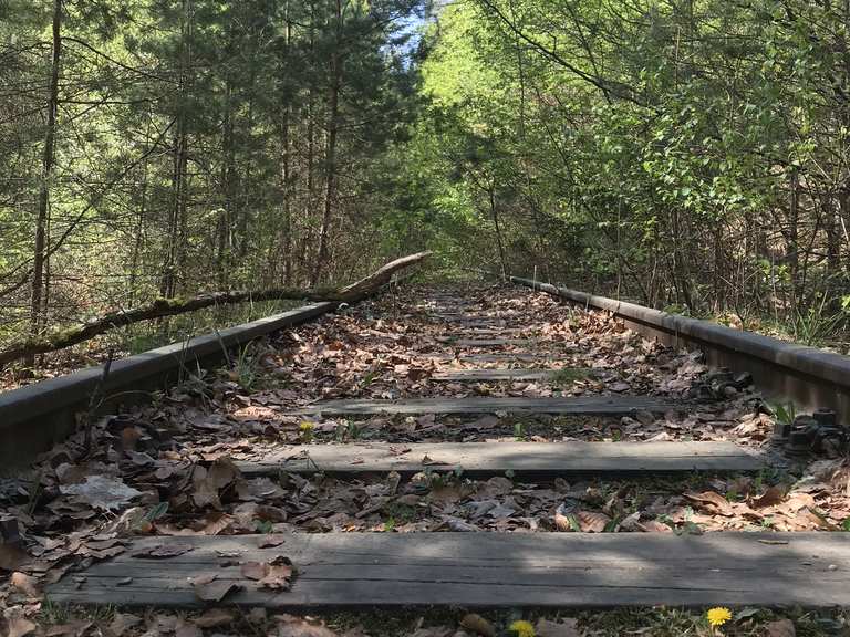 WarndtWaldWeg wandern im Saarland Wanderung Komoot