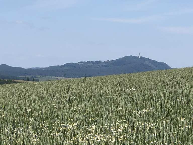 Asiatischer Garten Ausblick von Falscheid Runde von