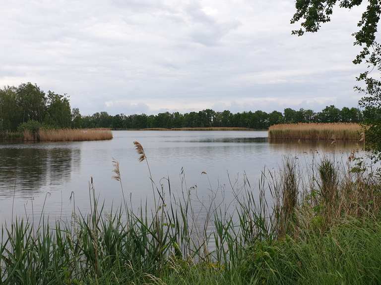Peitzer Teiche Wanderungen und Rundwege komoot