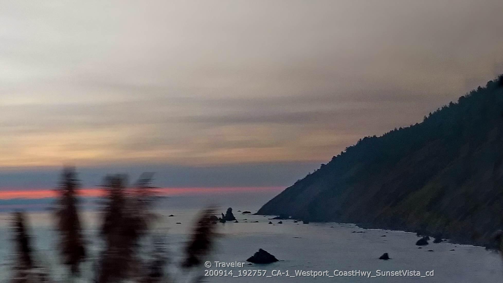 Ocean and forested cliffs at sunset with a blurred foreground.