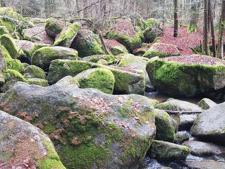 Höllbachtal Wanderungen und Rundwege komoot