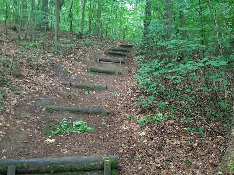 Parkanlage HolsteTeich Routes for Walking and Hiking Komoot