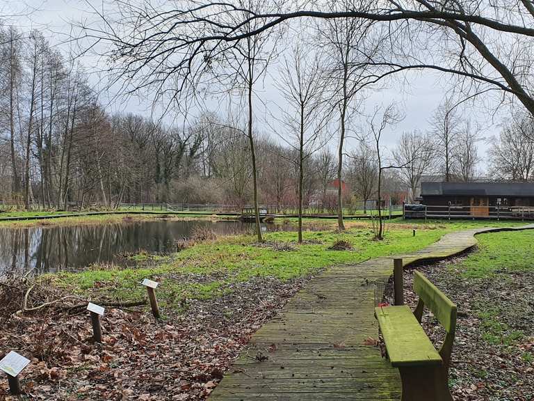 Hagenburger Kanal Routes for Walking and Hiking Komoot