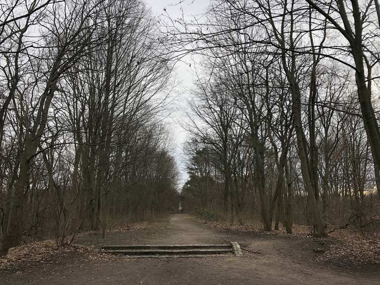 Volkspark Rehberge Wanderungen und Rundwege komoot