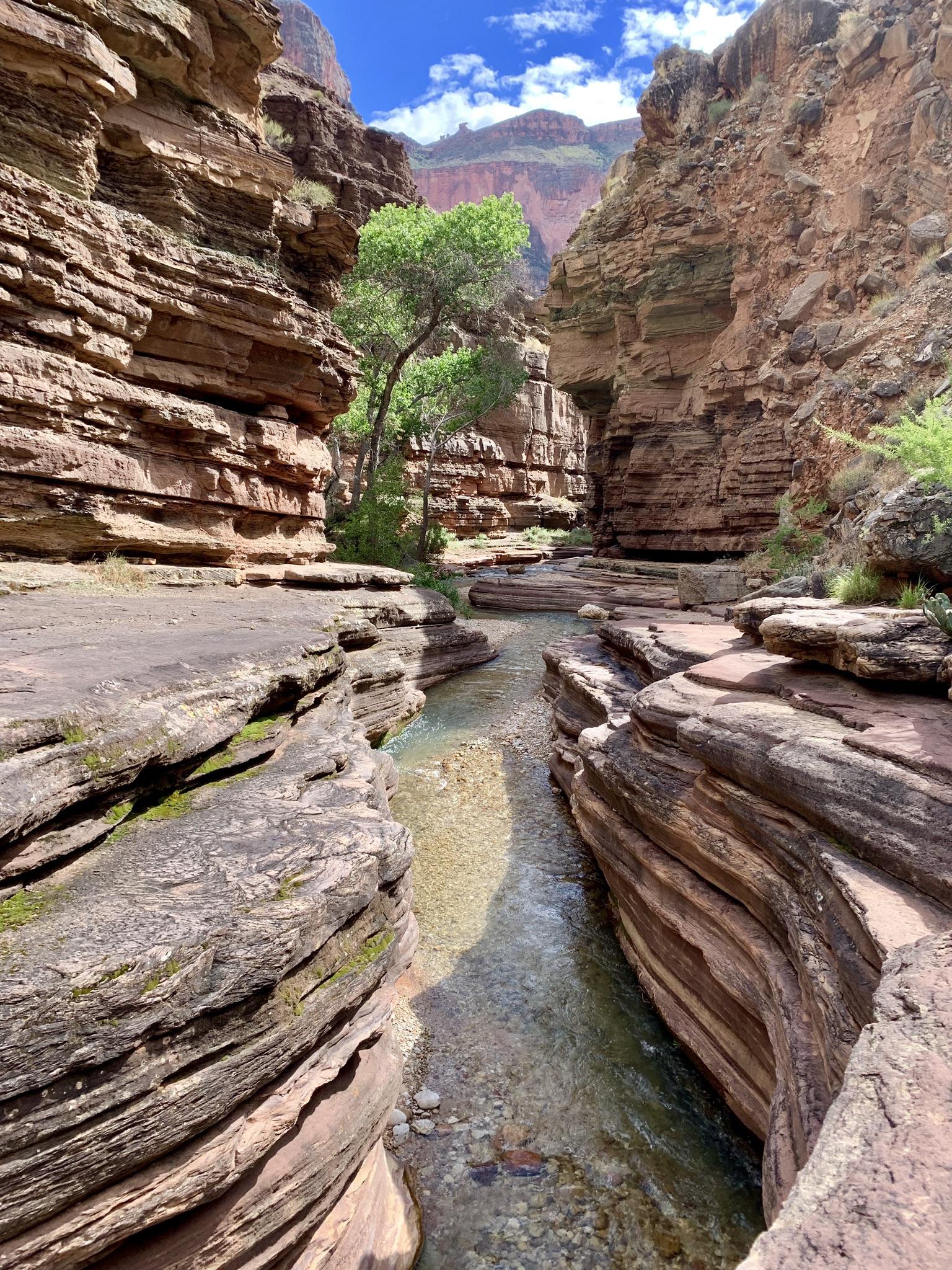 Clear stream flowing through a narrow canyon with layered rock walls.