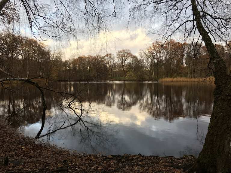 Bredenbeker Teich Wanderungen und Rundwege komoot