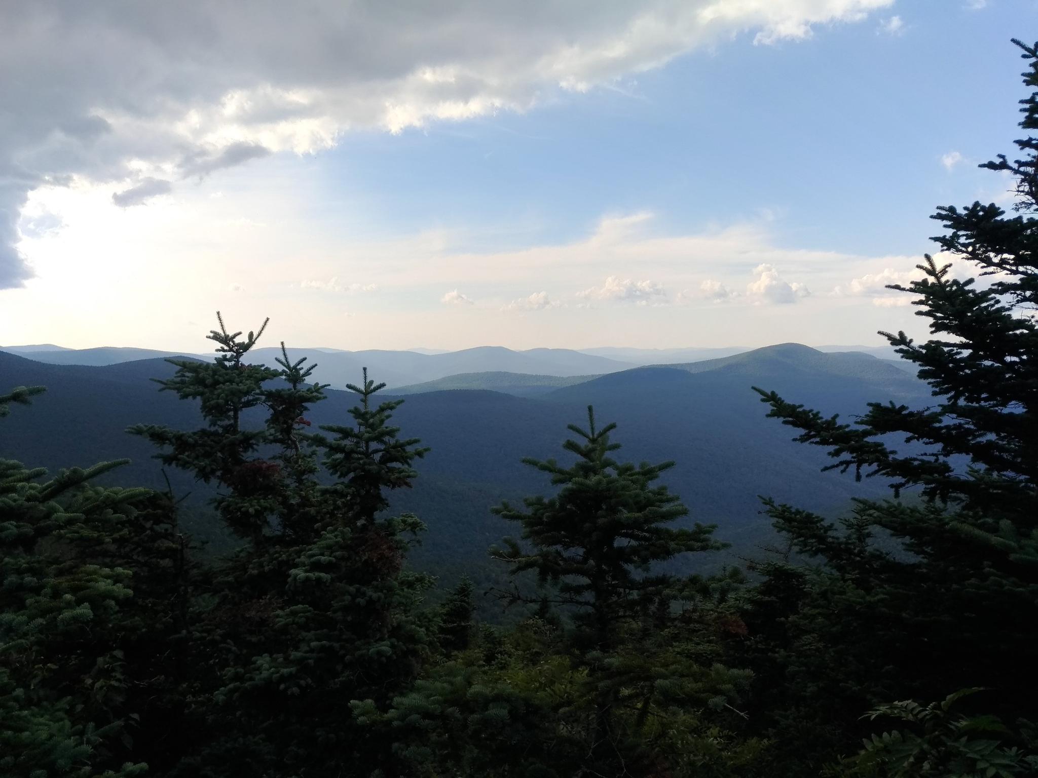 Dark green mountains receding under a cloudy sky, framed by evergreen trees.