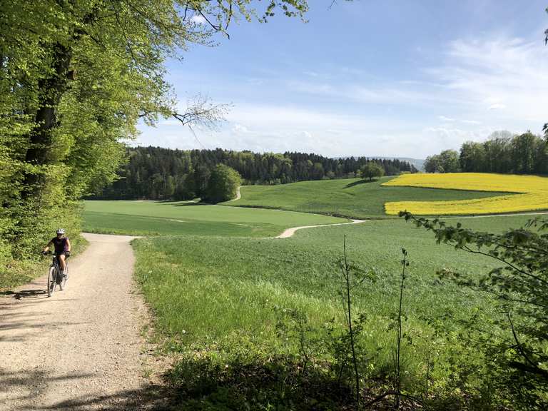 Wiesentäli oberhalb Weiningen : Radtouren und Radwege | komoot