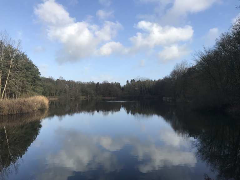 See in der Nähe vom Fährhof Wanderungen und Rundwege komoot
