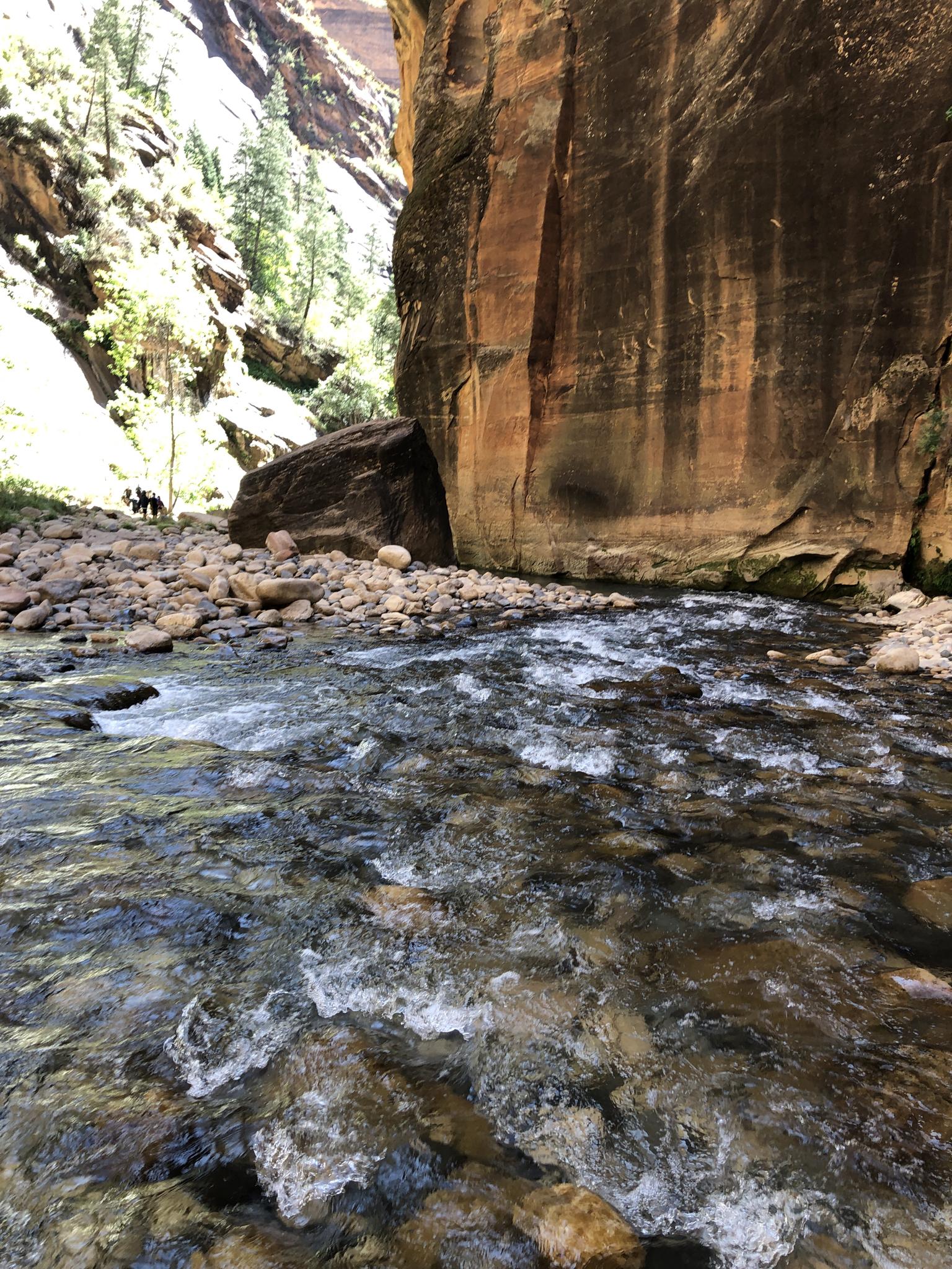 A rocky river flows past towering canyon walls under bright sunlight.