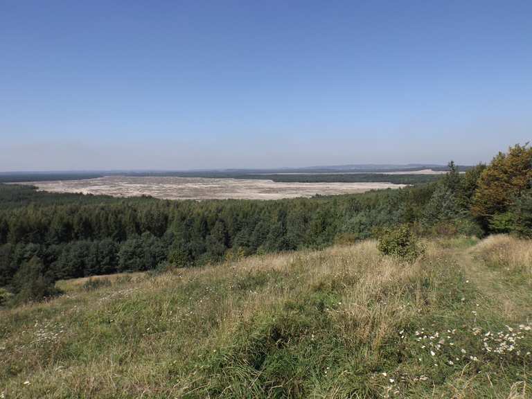 BłędówWüste (Pustynia Błędowska) Woiwodschaft Kleinpolen, Polen