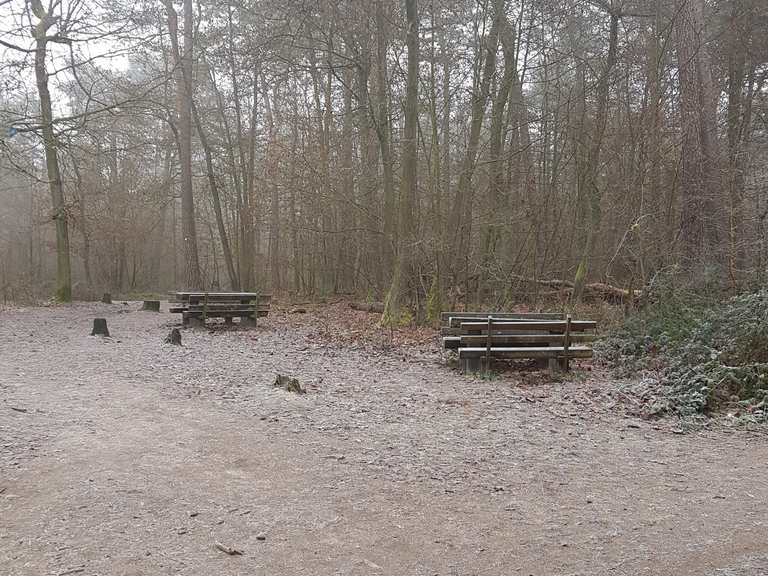 Am Schlagbaum (288 m ü. NHN) Wanderungen und Rundwege komoot