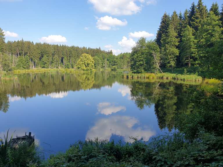 Glitzer Glitzer - Stoffenrieder Forst, Neu-Ulm ...