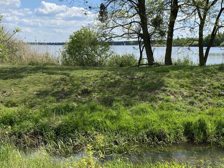 Rund um dem Großen Teich Wanderungen und Rundwege komoot