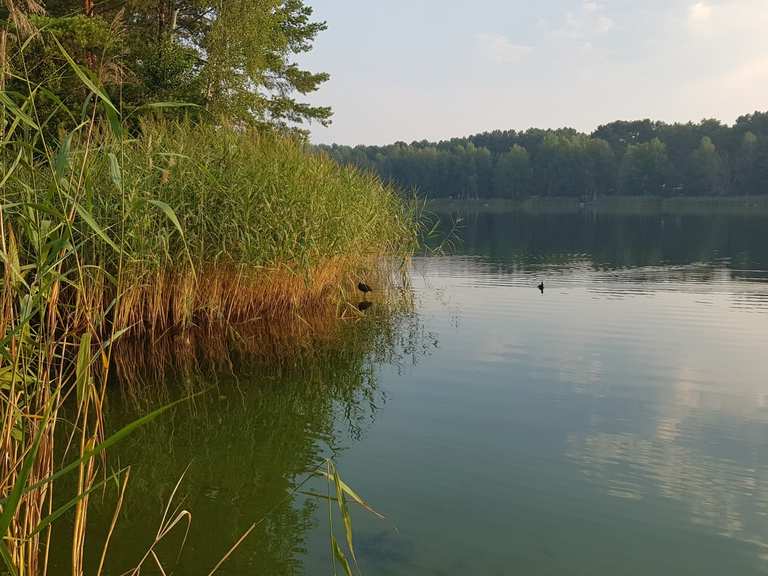 Wake & Camp Watersports and Leisure Camp Ruhlsdorf  Cycling Routes & How  to Get There | Komoot