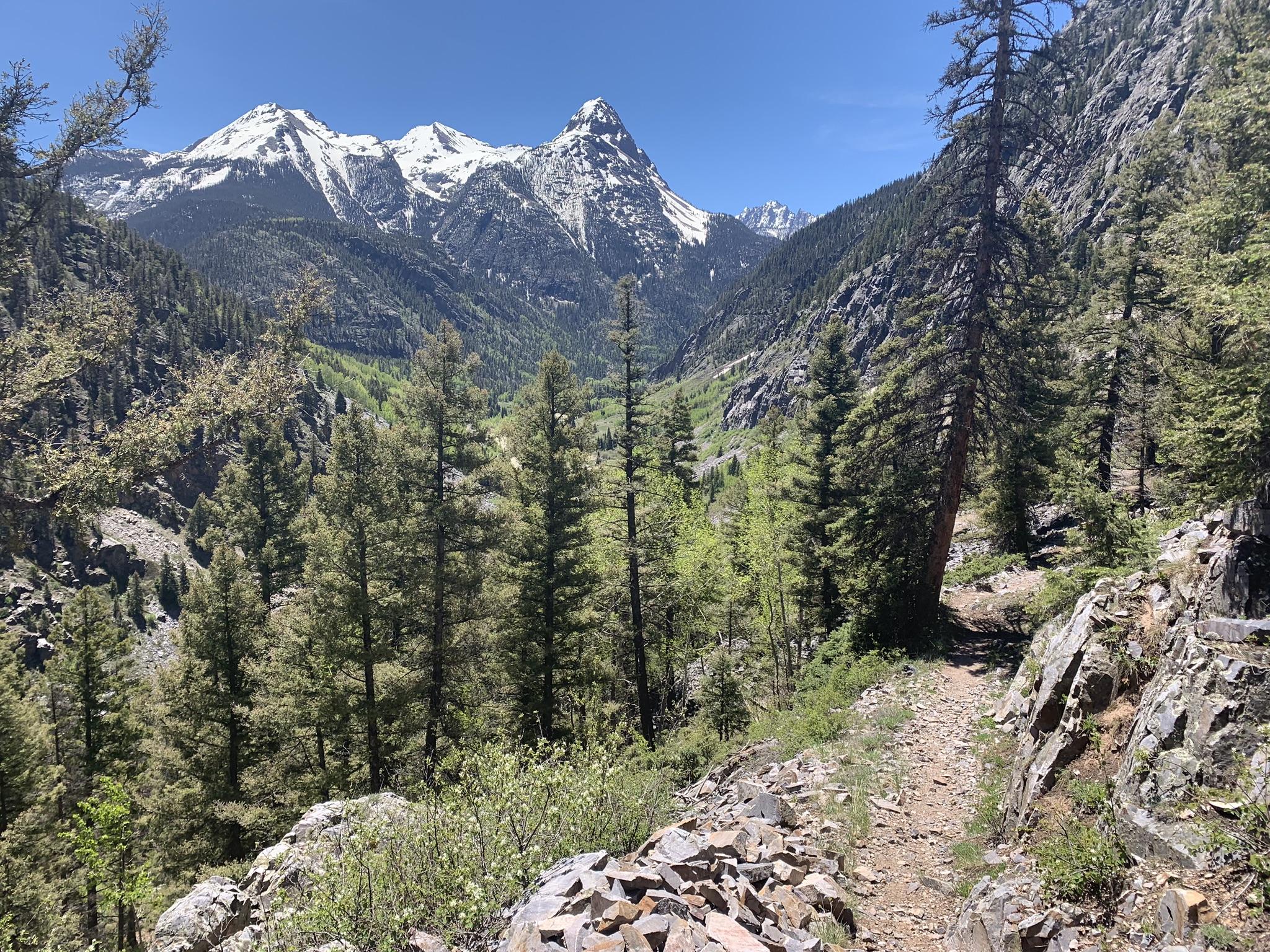 Mountain trail winds through a forest with snowy peaks under a clear sky.