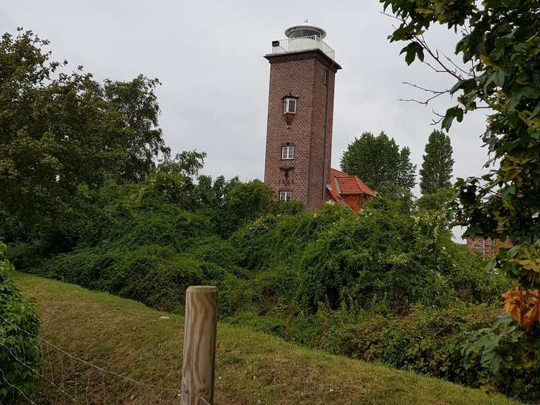 Radweg direkt am Stand Pelzerhaken Neustadt in Holstein