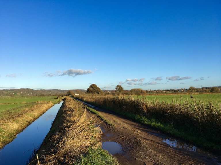 Nailsea Droves Radtouren und Radwege komoot