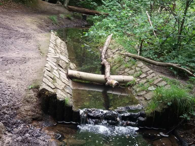 Hütter Wohld, Klosterteich - Bartenshagen-Parkentin ...