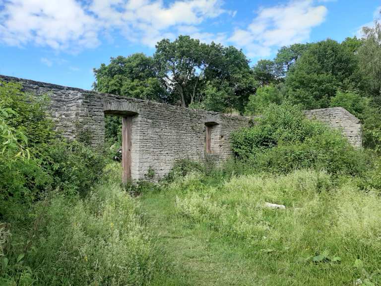 Stadtwald Göttingen – Am Kehr Runde von Göttingen | Wanderung | Komoot