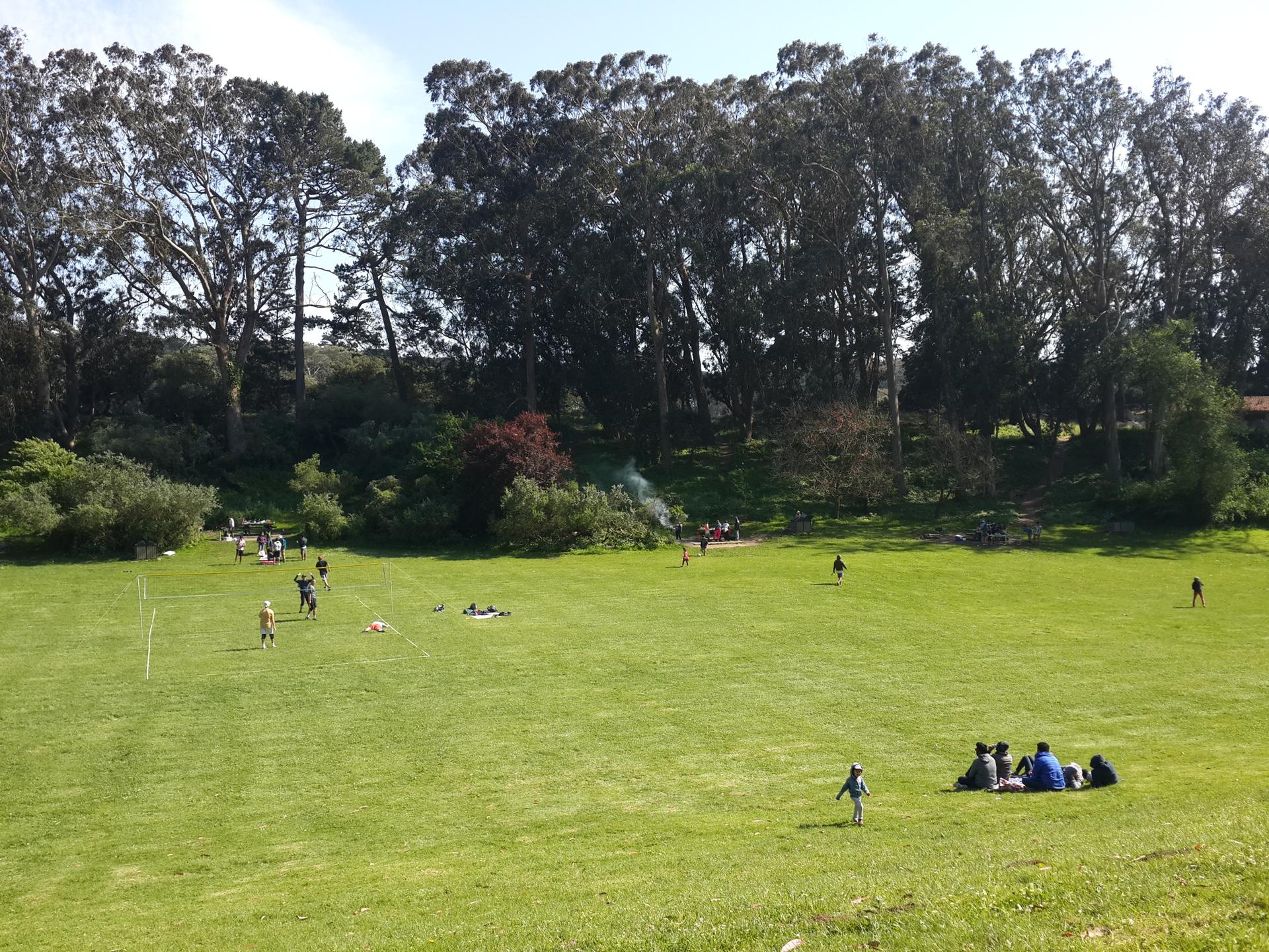 Wide green grassy field with many people picnicking and playing.