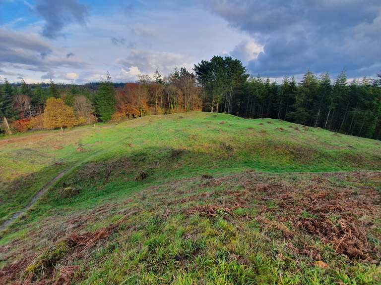 Heywood Castle - Motte and Bailey Routes for Walking and Hiking | Komoot