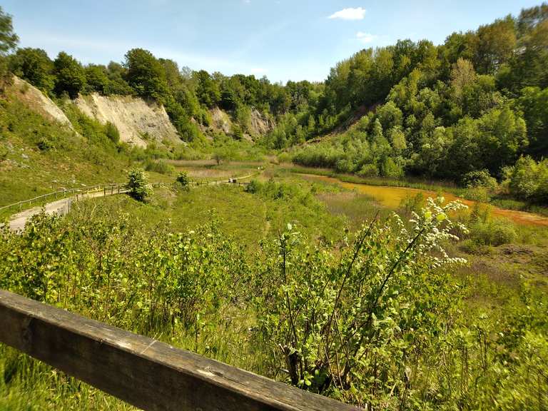 Blick auf die Liether Kalkgrube : Radtouren und Radwege | komoot