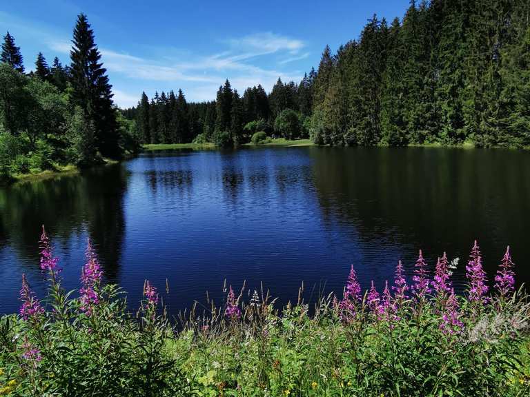 Unterer Hahnebalzer Teich Routes for Walking and Hiking | Komoot