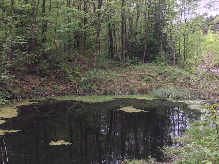 Sieben Teiche Routes for Walking and Hiking Komoot
